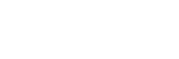 出汁の旨味をシンプルに味わう