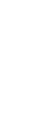 名物鴨しゃぶの